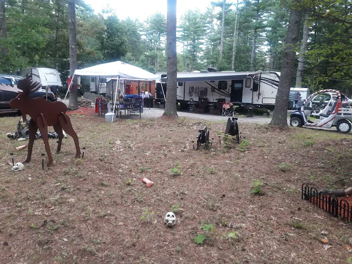 Salmon Falls River RV Resort Picture 5