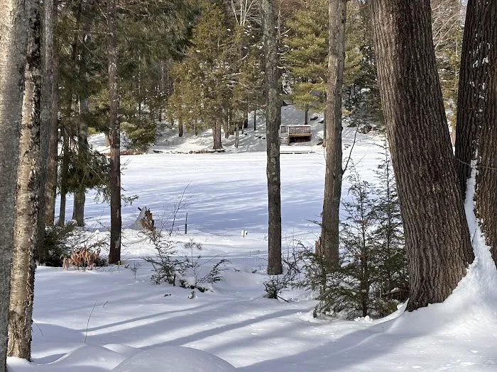 Baxter Lake Recreation Area Picture 5