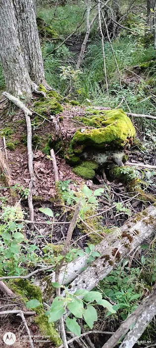 Baxter Lake Recreation Area Picture 1
