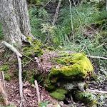 Baxter Lake Recreation Area
