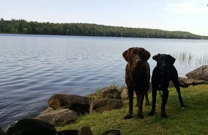 Ayers Lake Farm Campground & Cottages Picture 5