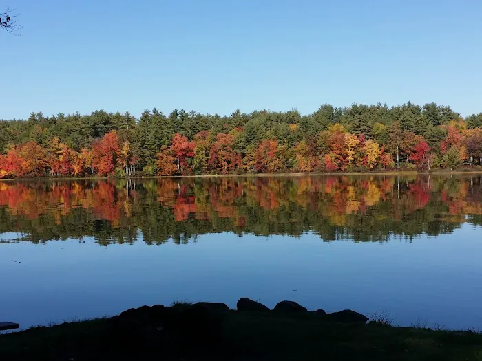 Ayers Lake Farm Campground & Cottages Picture 6