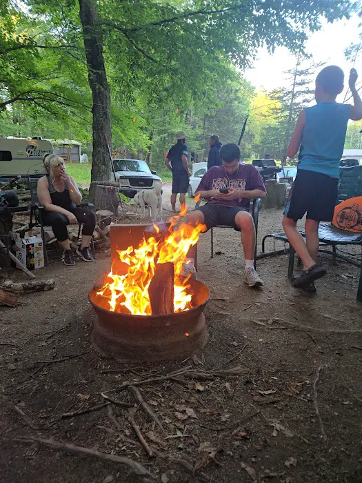 Forest Glen Campground Picture 3