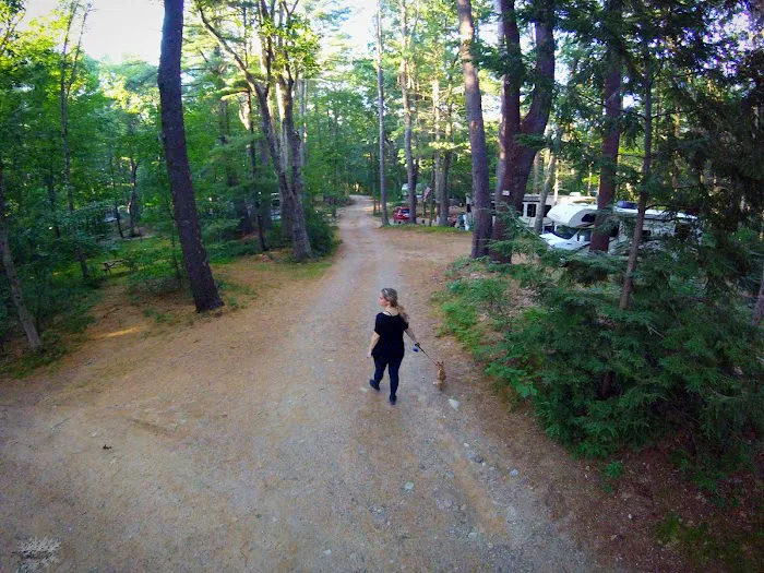 Country Shore Camping Area Picture 4