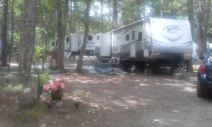 Country Shore Camping Area Picture 10