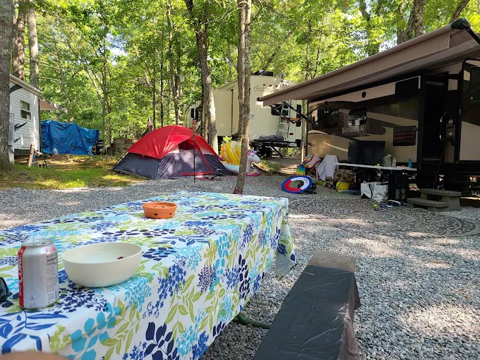 Country Shore Camping Area Picture 6