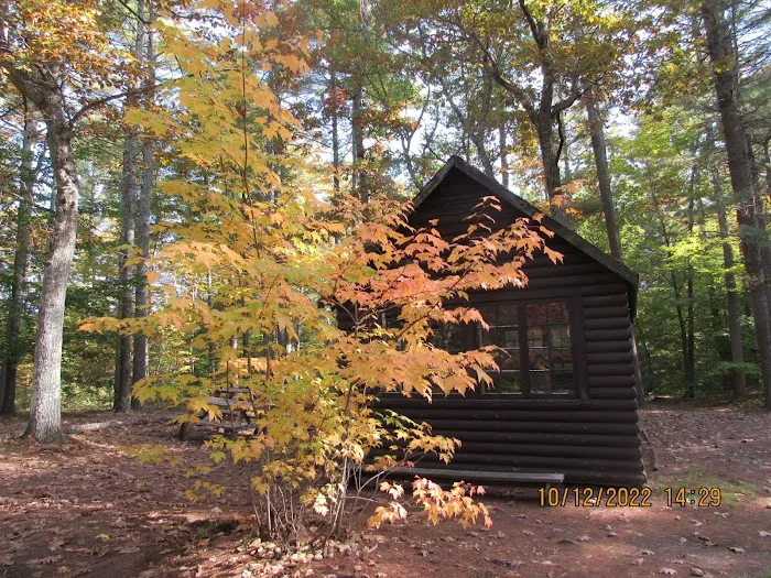 Lone Tree Camp & Cabins Picture 9