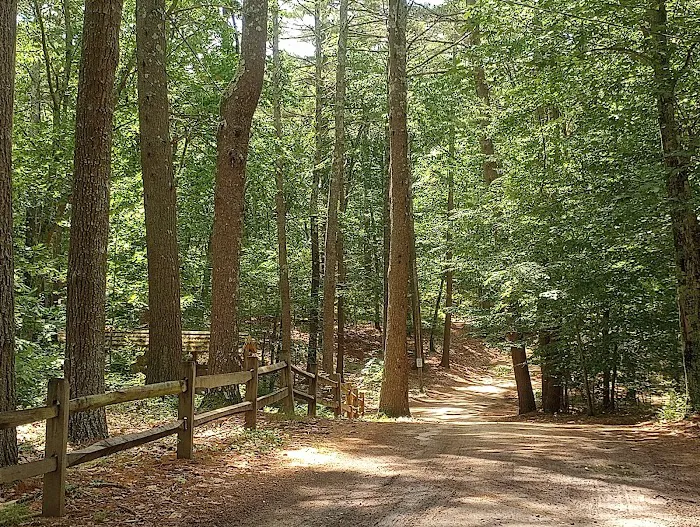 Lone Tree Camp & Cabins Picture 10
