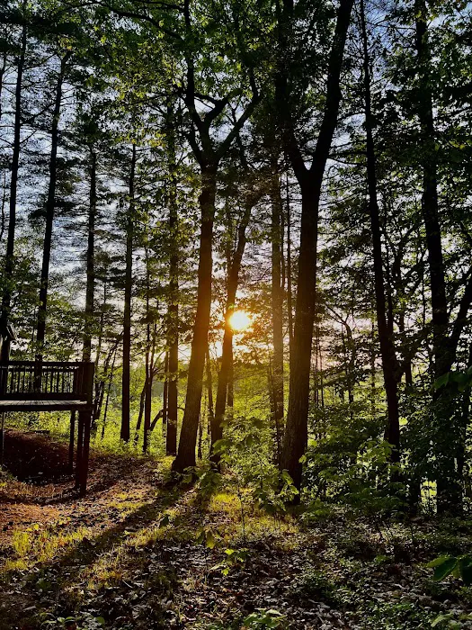 Lone Tree Camp & Cabins Picture 4