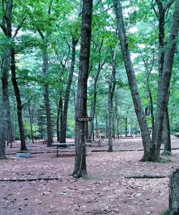 Lone Tree Camp & Cabins Picture 8