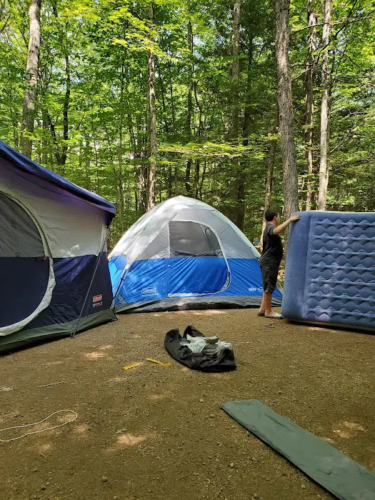 Green Meadow Camping Area Picture 2
