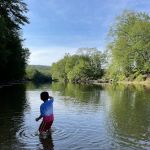 Saco River Family Camping