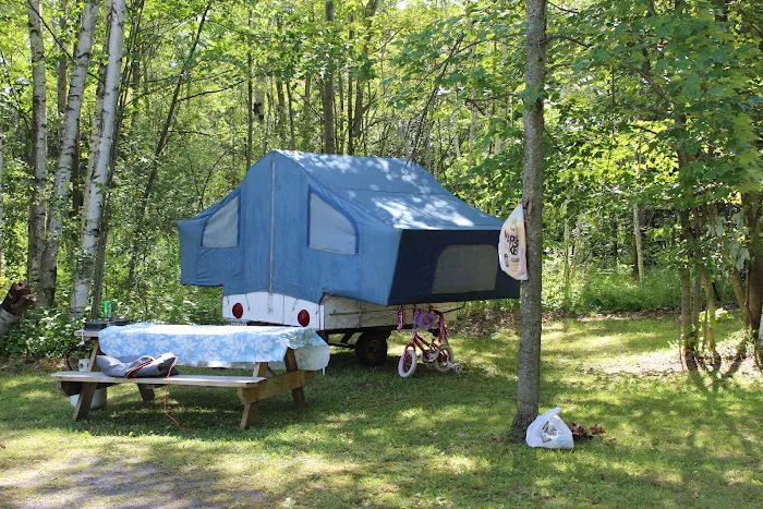 Plattsburgh RV Park Picture 5