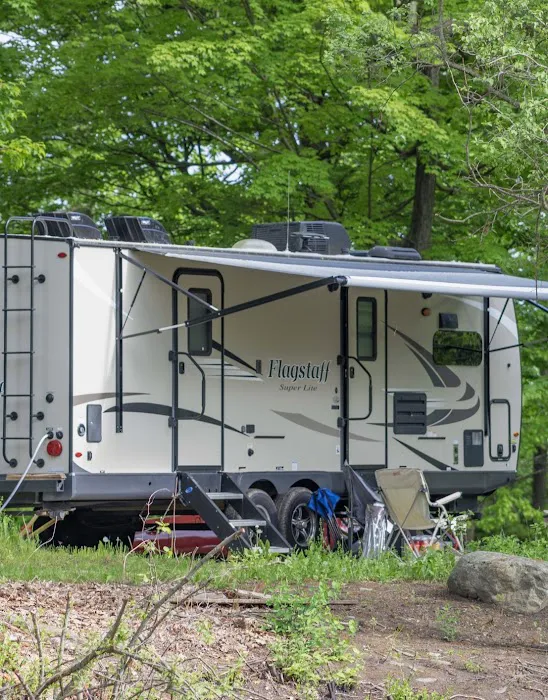 Shady Oaks Camping Resort Picture 6