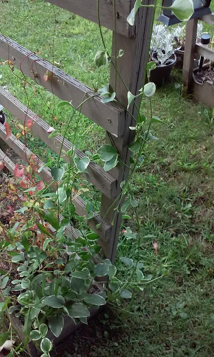 Abenaki Mobile Home Park Picture 7