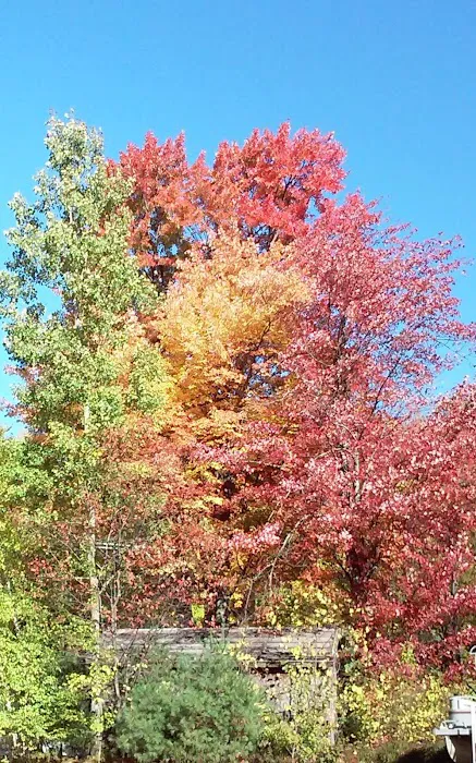Abenaki Mobile Home Park Picture 3
