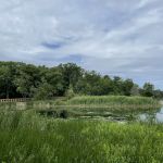 Prouty Beach Campground