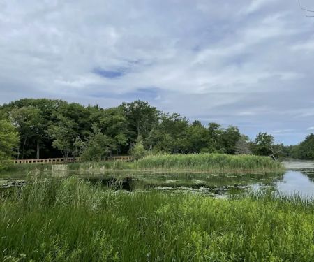 Prouty Beach Campground