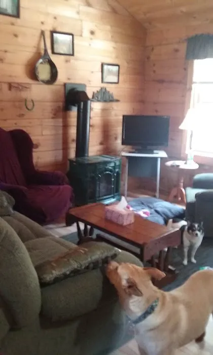 Connolly Cabins & Campground Picture 3