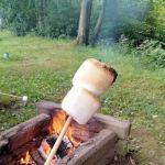 Riverdale Farm Campsite