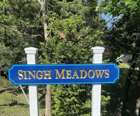 Singh Meadows
