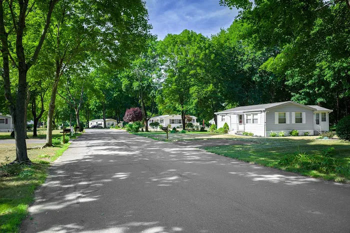 Yankee Village Picture 4