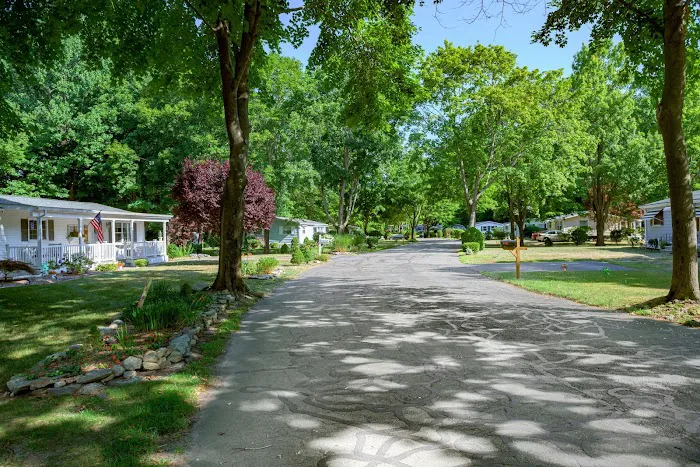 Yankee Village Picture 1