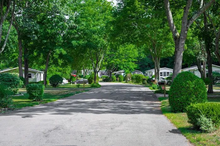 Yankee Village Picture 3