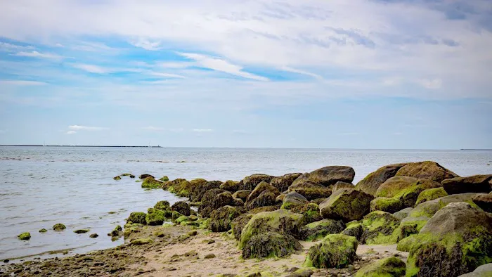 Grove Beach Picture 5