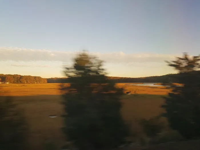 Grove Beach Picture 9