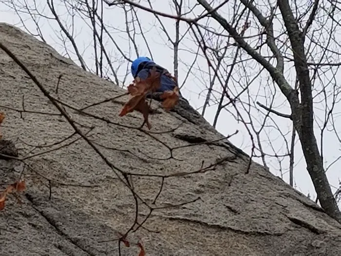 New England Base Camp Picture 2
