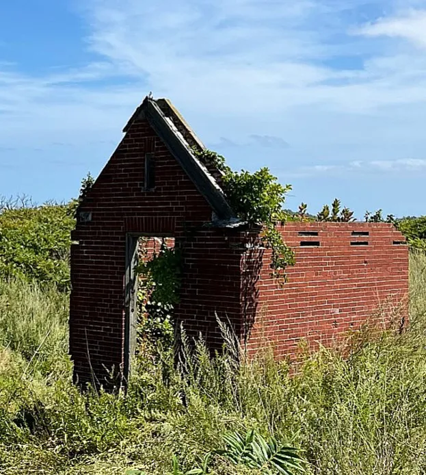 Lovells Island Picture 9