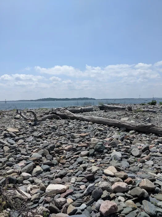 Lovells Island Picture 5