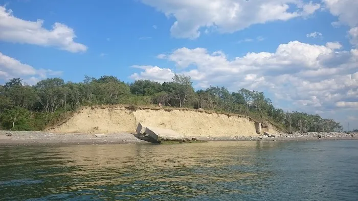 Lovells Island Picture 6