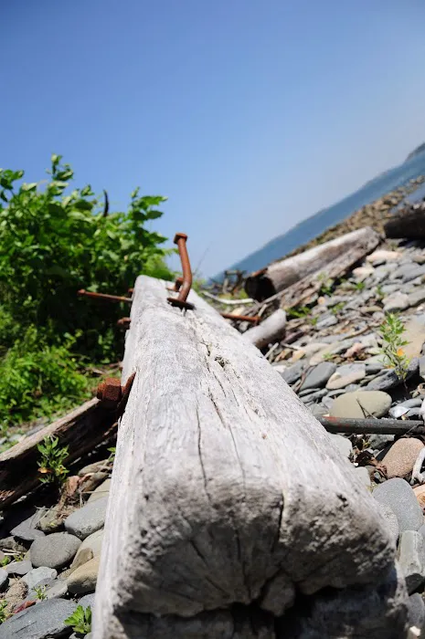 Lovells Island Picture 2