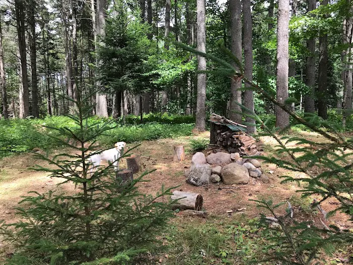 Woodland Grove Camping at Adirondack Adventure Base Picture 6
