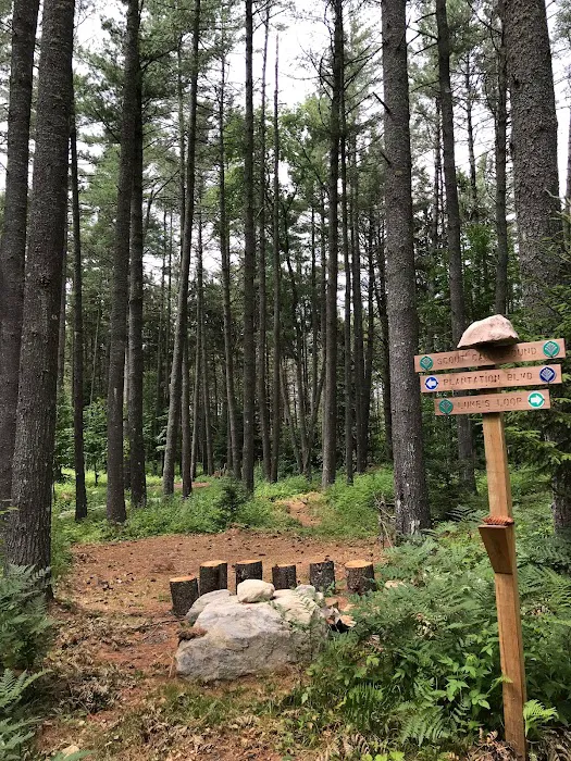 Woodland Grove Camping at Adirondack Adventure Base Picture 7