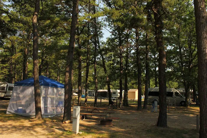 Yankeeland RV Resort Picture 3