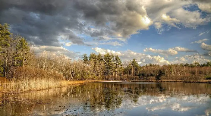 Amazon Park Picture 9