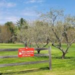 Wellington Camping Park