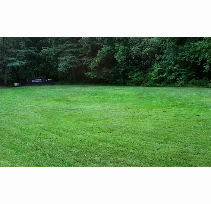 Ferndale Acres Campground Picture 5