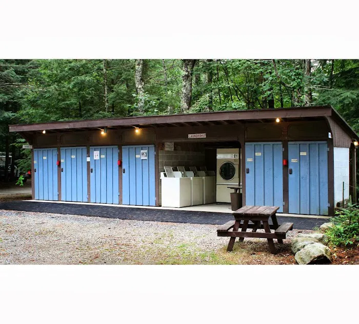 Ferndale Acres Campground Picture 2