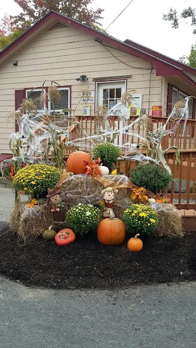 Black Bear Village Cooperative Picture 7