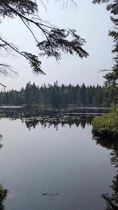 Unknown Pond Tentsite Picture 1