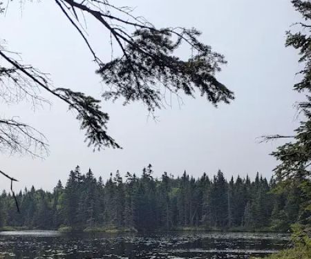 Unknown Pond Tentsite