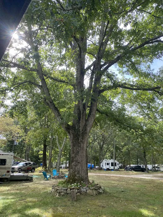 Frontier Camper Park LLC Picture 10