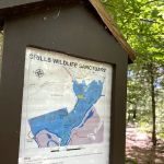 Holly Tree Camper Park