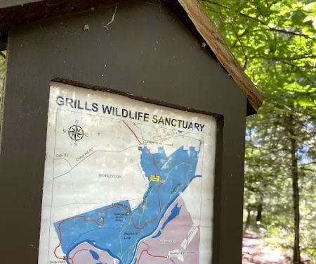 Holly Tree Camper Park