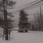 South shore mobile home park