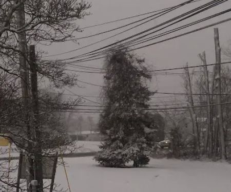 South shore mobile home park